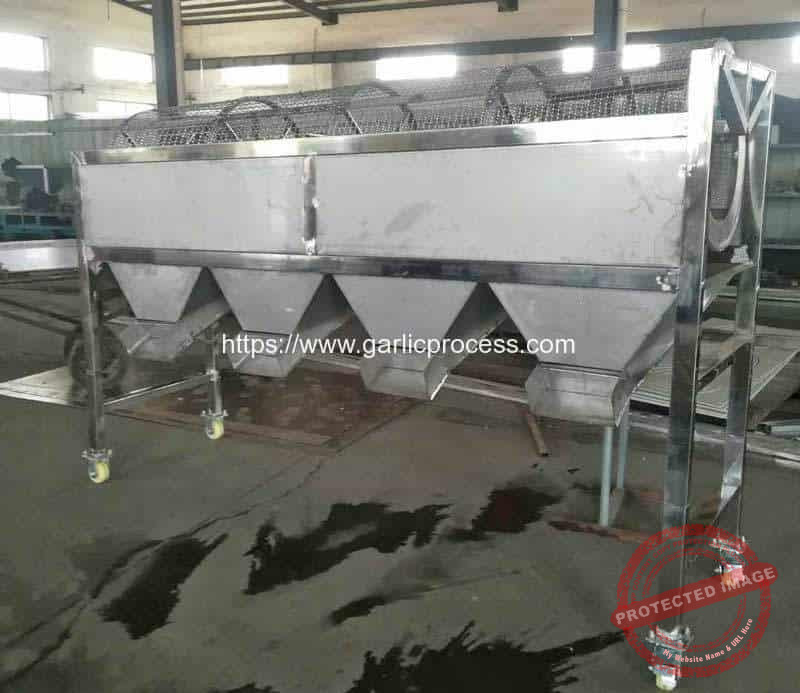 Rotary-Type-Garlic-Seeds-Size-Sorting-Machine-for-Thailand-Customer